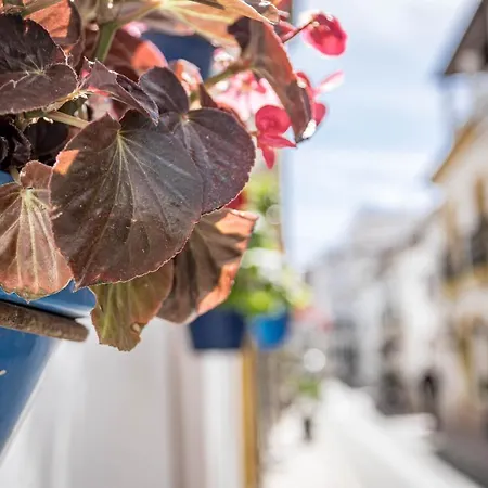 Seaclub Suites By Roomservices Εστεπόνα