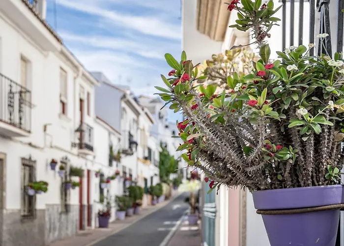 Seaclub Suites By Roomservices Hotel Estepona